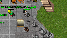 Devil'Angell on screen