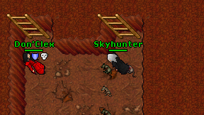 Skyhunter on screen
