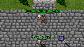 Bright Elite Knight on screen