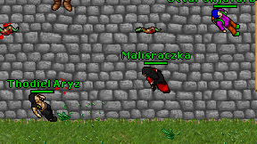 Malisraczka on screen