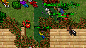 Piersiula on screen