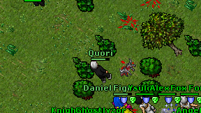 Quori on screen