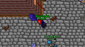 Burloki on screen