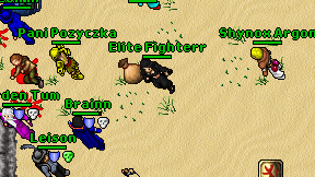 Elite Fighterr on screen