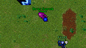 Brac Sarok on screen
