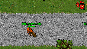 Miloszekk on screen
