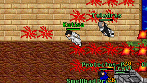 Kutisa on screen