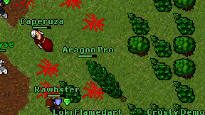 Aragon Pro on screen
