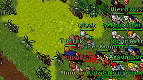 Toffek on screen