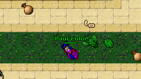 Paul'enho on screen