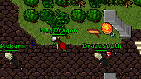 Mag Dragon on screen