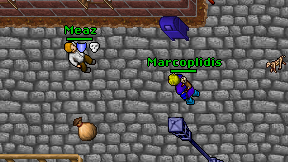 Marcoplidis on screen