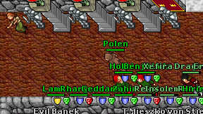 Polen on screen