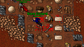 Sien Guard on screen