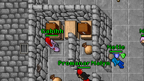 Gabihh on screen
