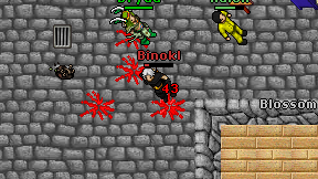 Binokl on screen