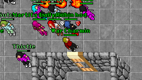 War Charmin on screen