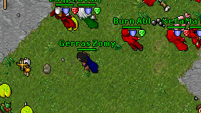 Gerras Zomy on screen