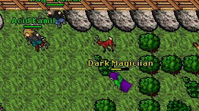 Dark Magiciian on screen