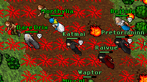 Katmai on screen