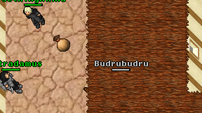 Budrubudru on screen