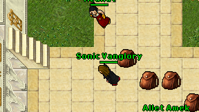 Sonic Vanglory on screen