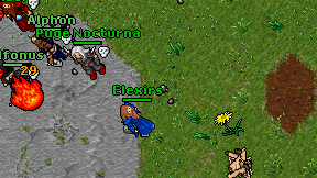Elexirs on screen