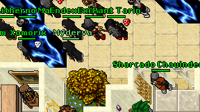 Sharcado Chauindena on screen