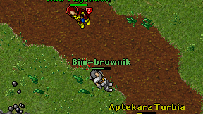 Bim-brownik on screen