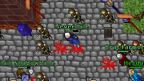 Neverdale on screen