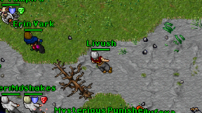 Livush on screen