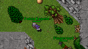 Pabio Kapelo on screen