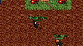 Hudafton on screen
