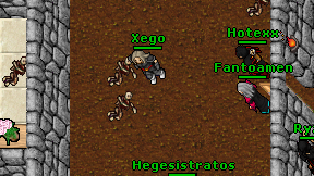 Xego on screen