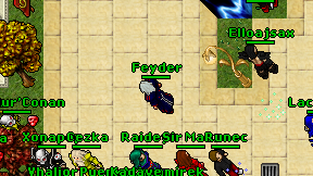 Feyder on screen