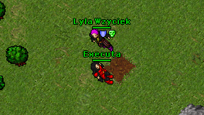 Executa on screen