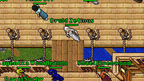 Druid Zetinus on screen