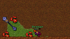 Dronor on screen