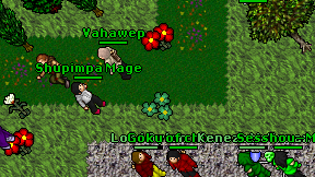 Shupimpa Mage on screen