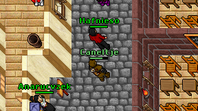 Caneltje on screen