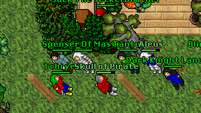 Kanguz on screen