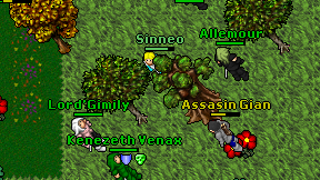 Sinneo on screen
