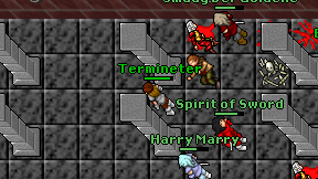 Termineter on screen