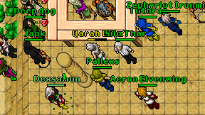 Pallexs on screen
