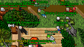 Hitulegi on screen