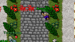 Konus Pall on screen