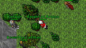 Knight of Avalon on screen