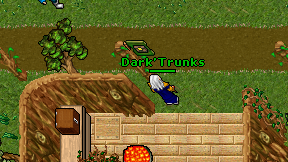 Dark'Trunks on screen