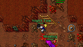 Night Tom on screen