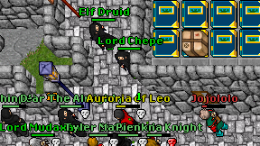 Elf Druid on screen
